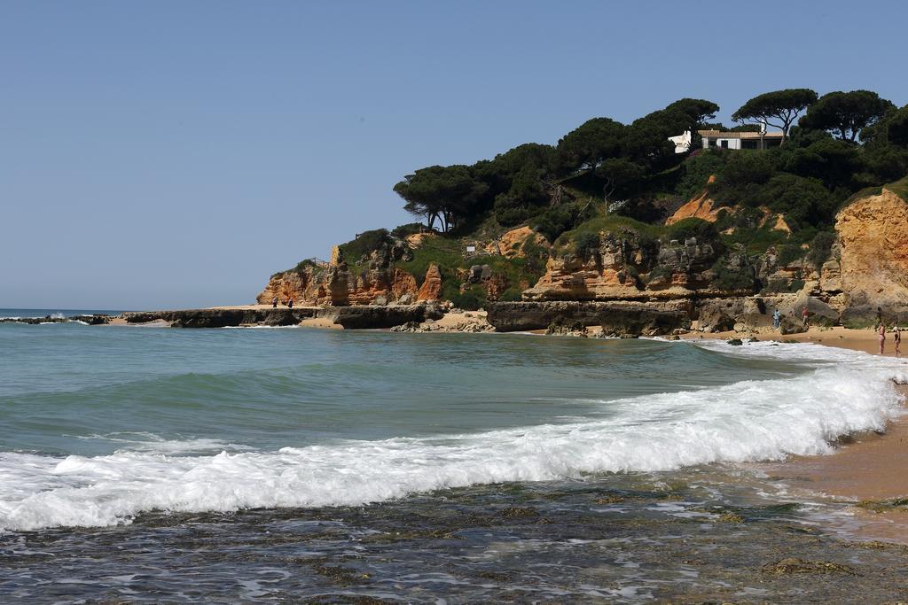 Mira Parque Bed & Breakfast Albufeira Bagian luar foto