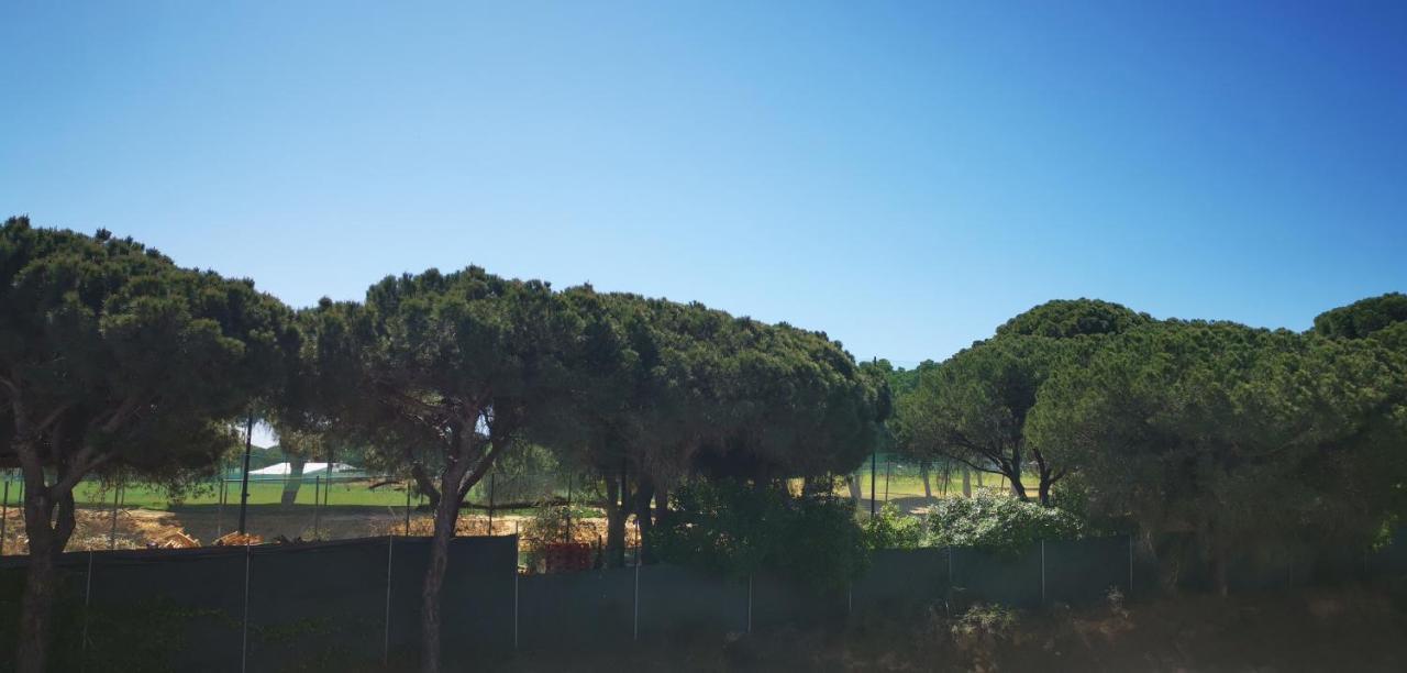 Mira Parque Bed & Breakfast Albufeira Bagian luar foto